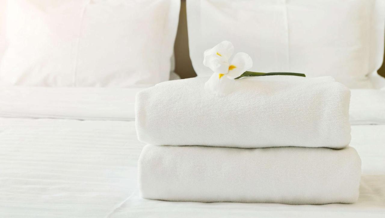 Standard King Room - Not Pet Friendly at Jasper Ridge Inn Ishpeming