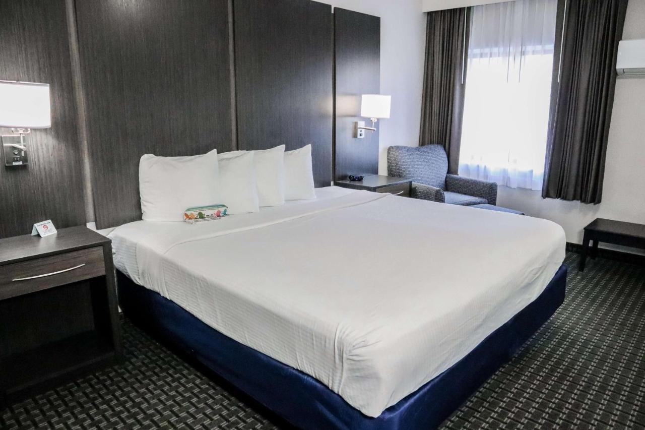 Oversized King Room with Sofabed at Best Western Ocala Park Centre