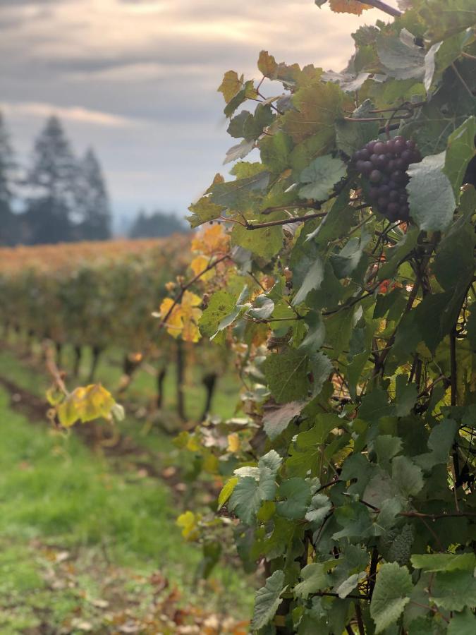  | The Setting Inn Willamette Valley