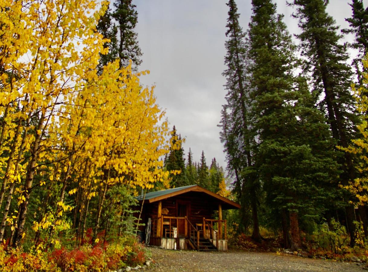 | Carlo Creek Cabins