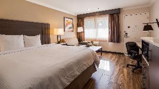 Room #5744629 at Best Western Plus Orange County Airport North