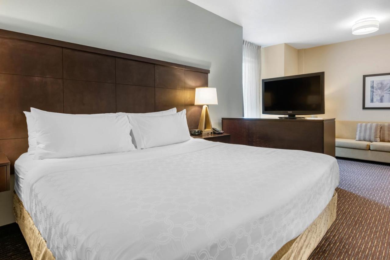 Standard Room at Staybridge Suites St. Petersburg Downtown by IHG