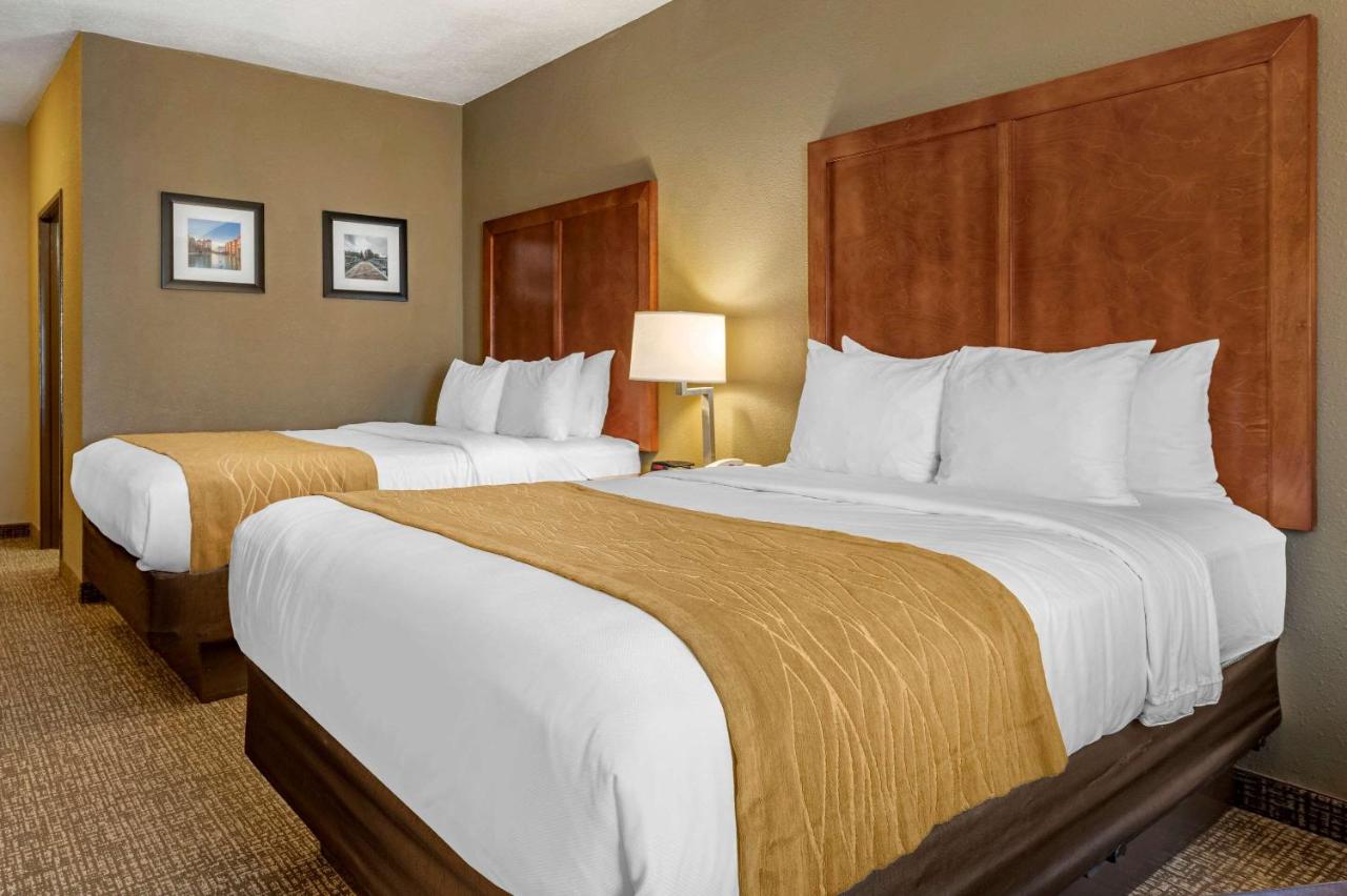 Queen Room with Two Queen Beds - Accessible/Non-Smoking at Comfort Inn Shelbyville North