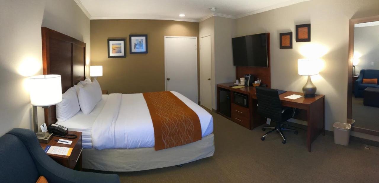Standard Room, 1 King Bed with Sofa Bed, Non Smoking at Comfort Inn Santa Monica - West Los Angeles