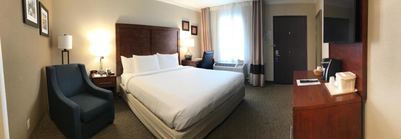 Standard Room, 1 King Bed, Accessible Tub, Non Smoking at Comfort Inn Santa Monica - West Los Angeles