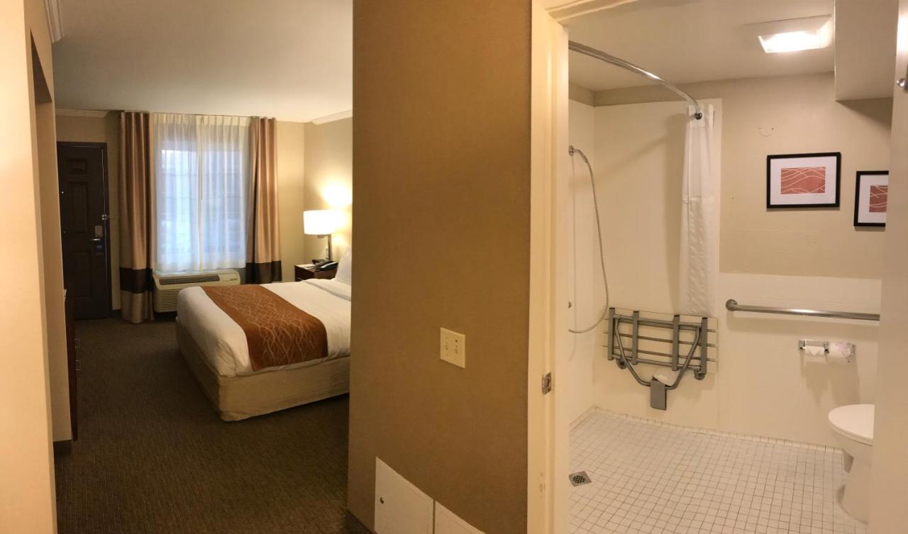 Standard Room, 1 Queen Bed, Accessible Roll-In Shower, Courtyard View at Comfort Inn Santa Monica - West Los Angeles