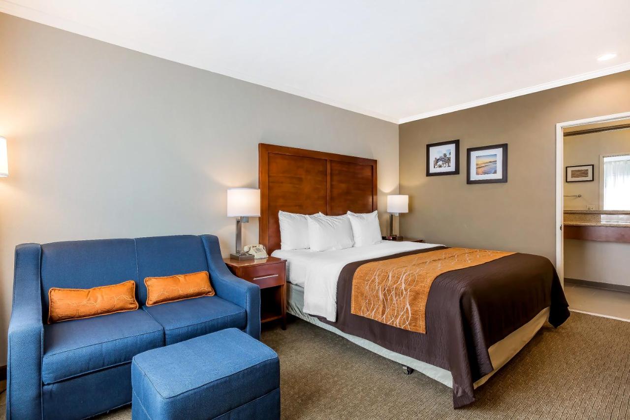 Standard Room, 1 King Bed with Sofa Bed, Non Smoking at Comfort Inn Santa Monica - West Los Angeles