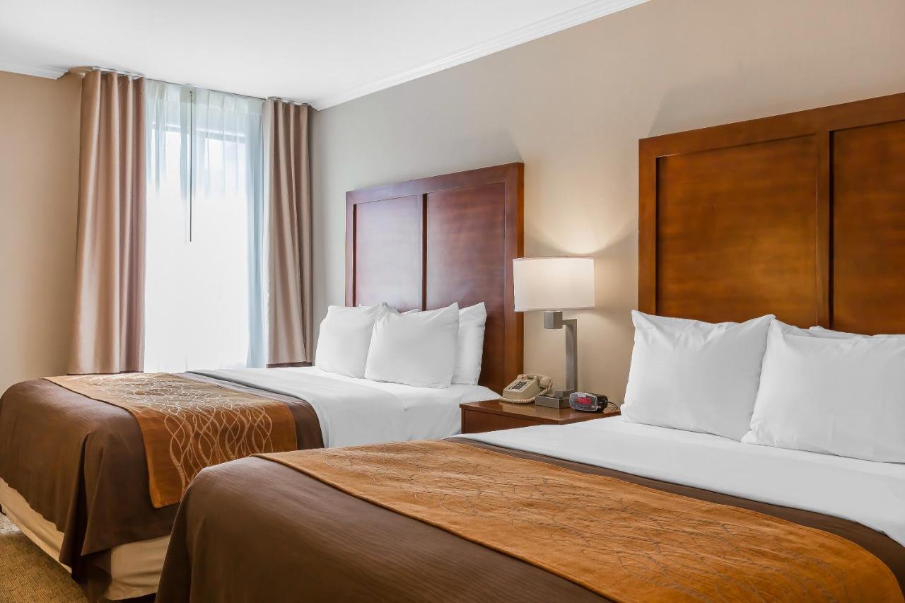 Standard Room, 2 Queen Beds, Non Smoking at Comfort Inn Santa Monica - West Los Angeles