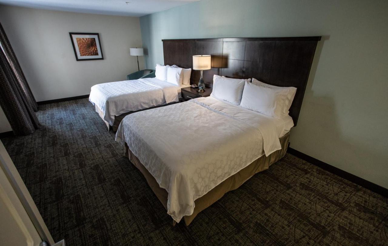 Two-Bedroom Suite - Non-Smoking at Staybridge Suites Silicon Valley by IHG