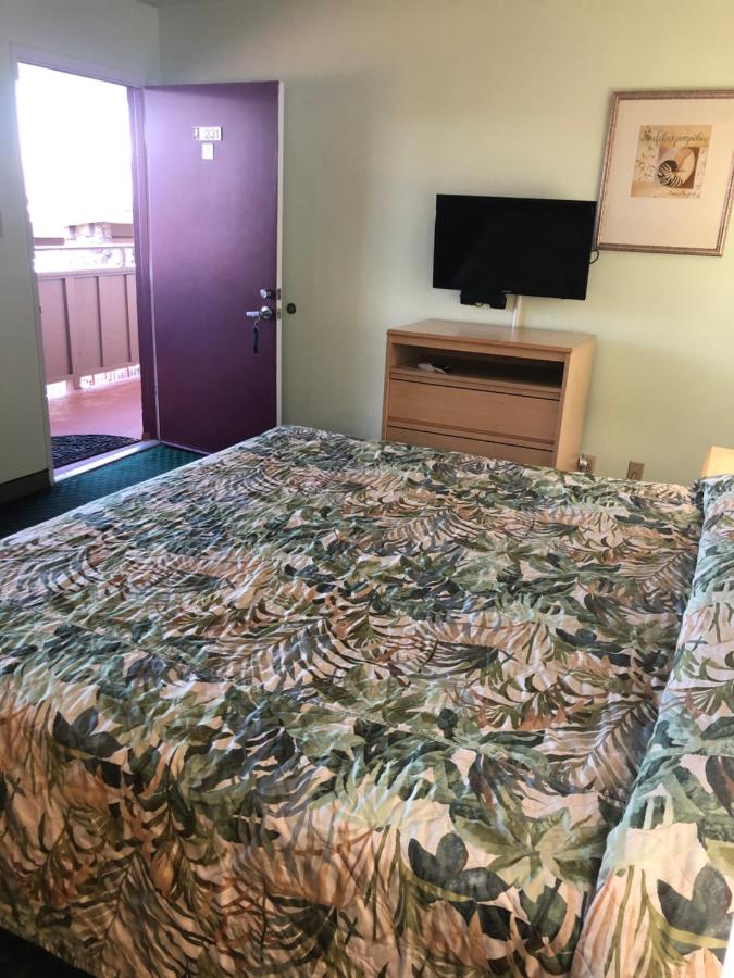 | Seahorse Inn