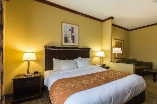 Room #49192711 at Comfort Suites Galveston Cruise Port Area – Beachside