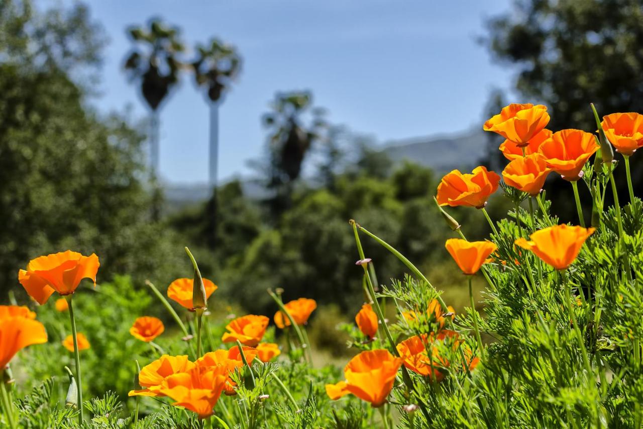 | Canoga Hotel at Warner Center