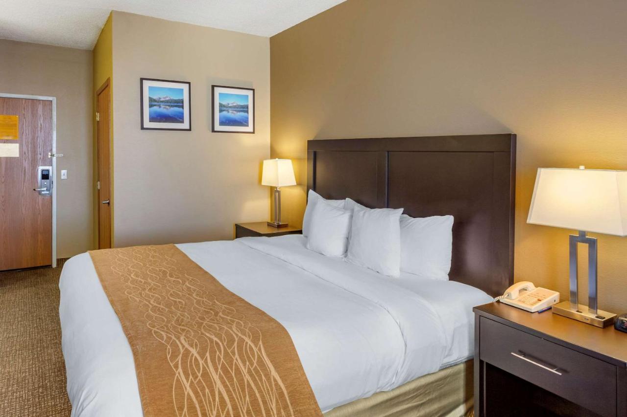 Superior King Suite - Non-Smoking at Comfort Inn Evanston I-80
