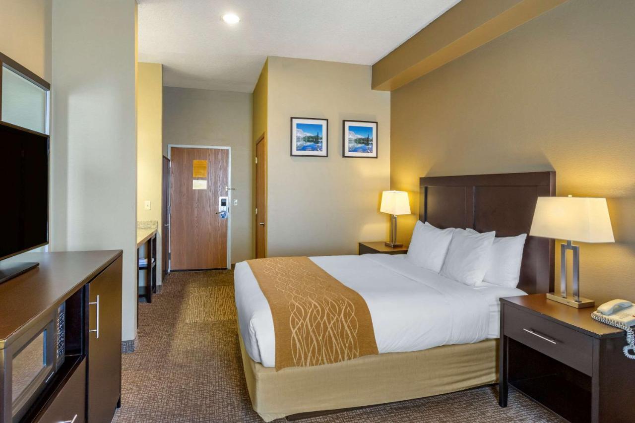Queen Room - Accessible/Nonsmoking at Comfort Inn Evanston I-80