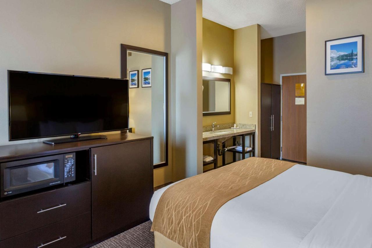 Queen Room - Accessible/Nonsmoking at Comfort Inn Evanston I-80
