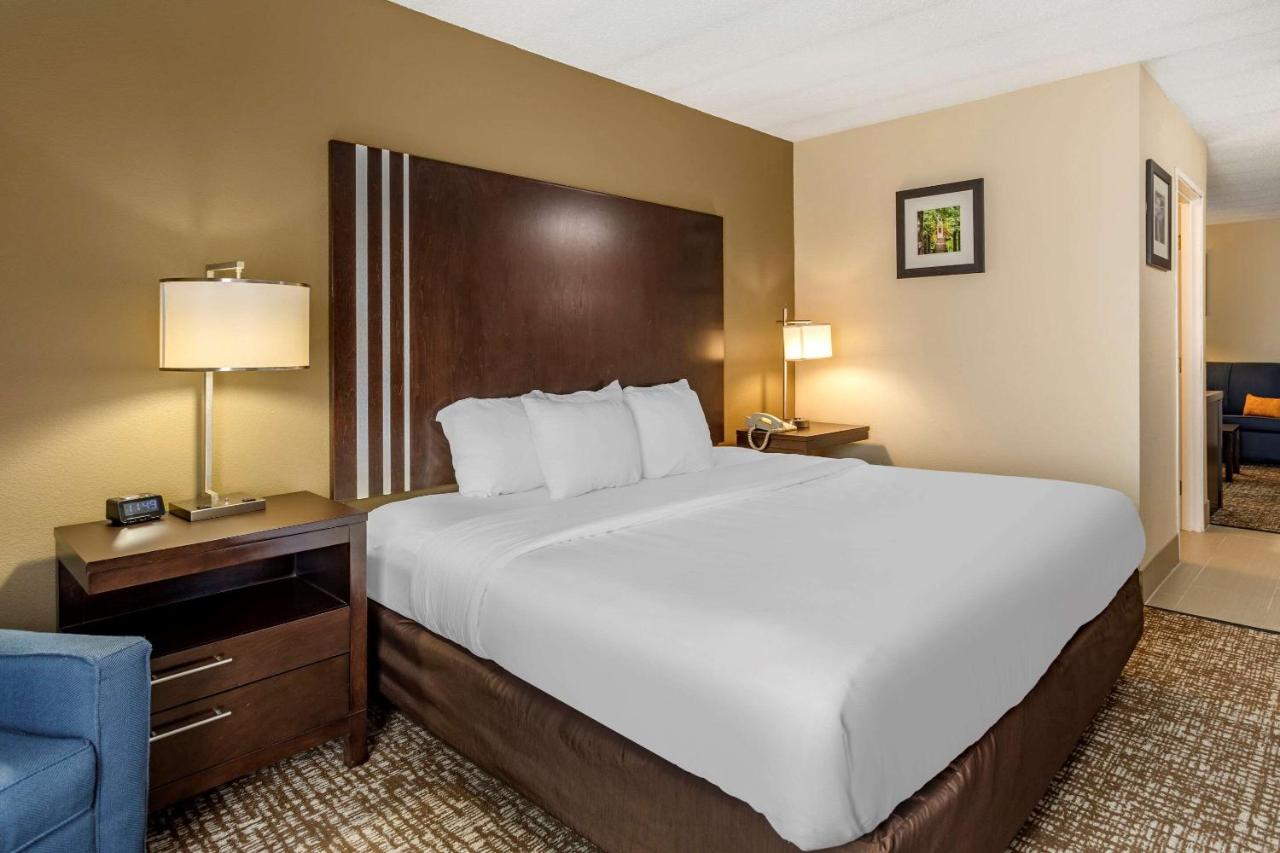 Upgraded King Room - Non-Smoking at Comfort Inn Paducah I-24