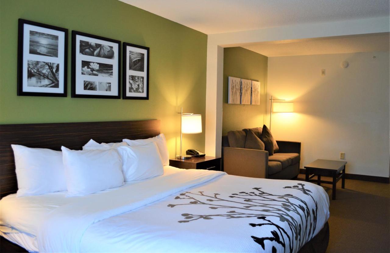 King Suite - Accessible/Non-Smoking at Sleep Inn & Suites Virginia Horse Center