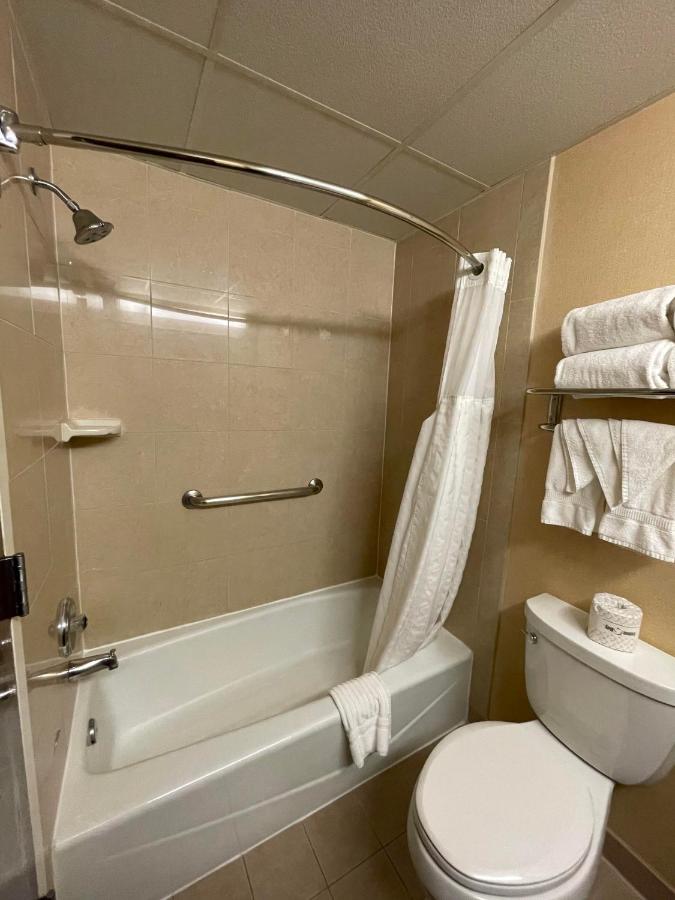 Standard Room with One King Bed at Comfort Inn Ballston