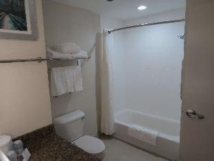 Room #18596333 at Best Western Plus Wilkes Barre-Scranton Airport Hotel
