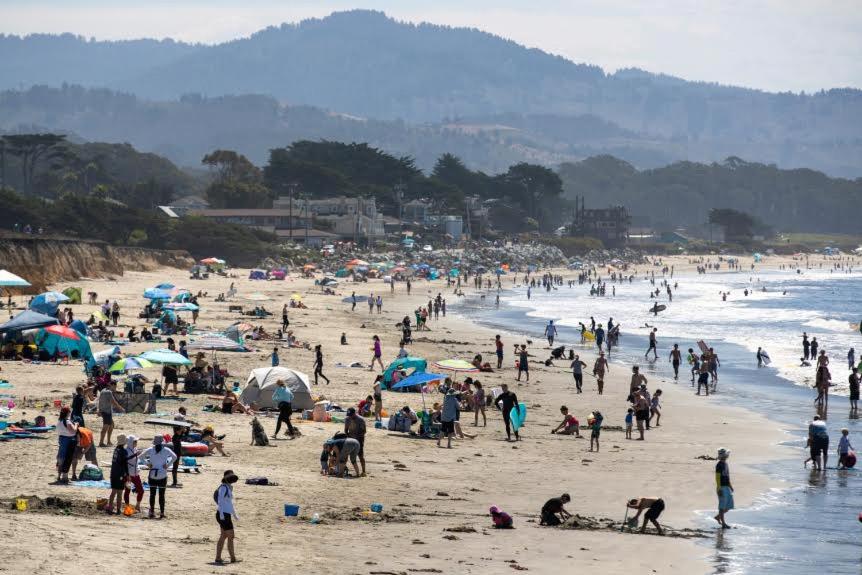 | The Oceanfront Hotel on MiramarBeach HMB