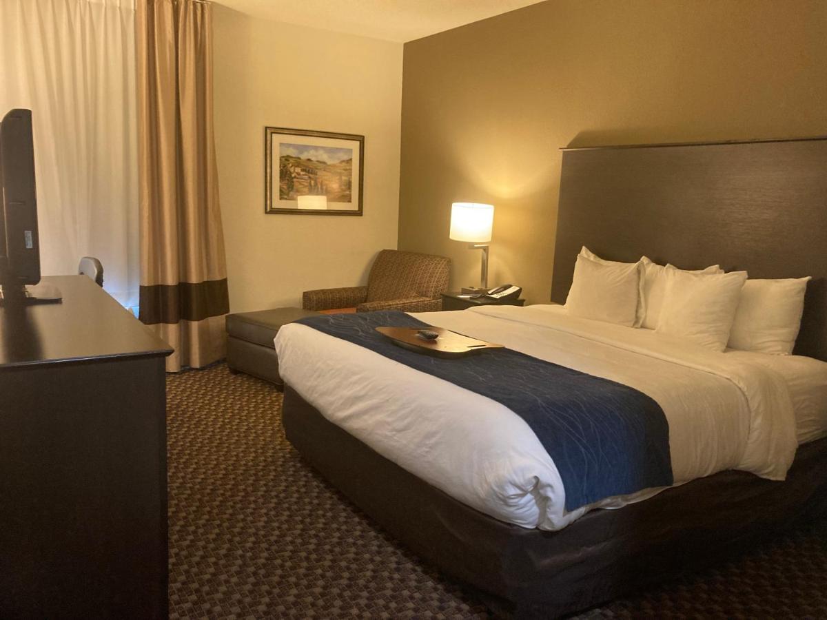 King Room with Roll-In Shower - Accessible/Non-Smoking at Comfort Inn Wings Stadium