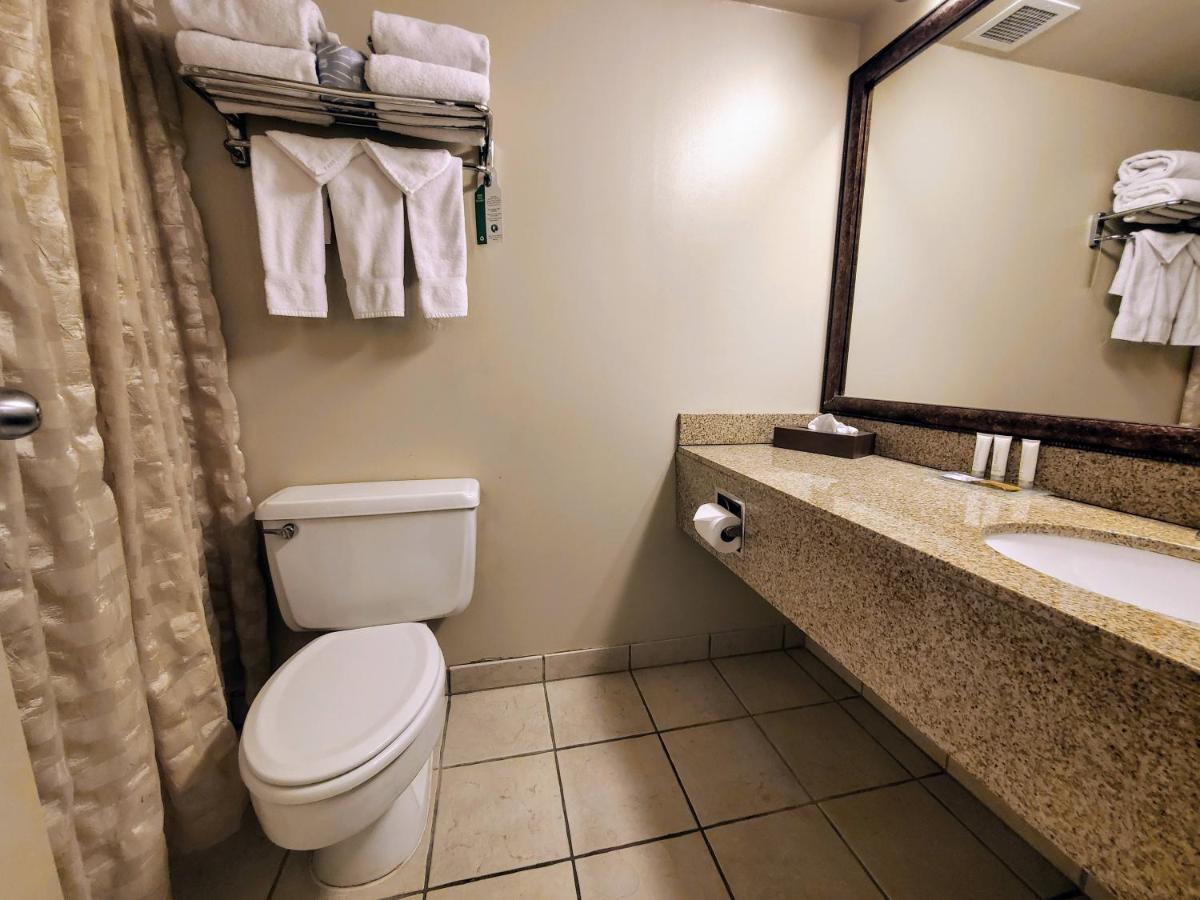 King Room with Sofa Bed - Disability Access at AmericInn by Wyndham Watertown