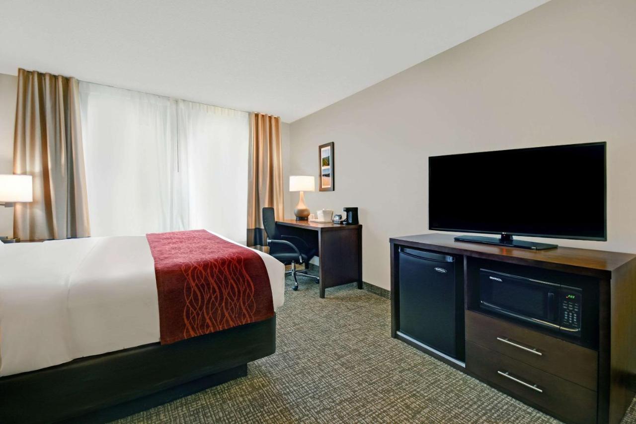 | Comfort Inn & Suites Wilton