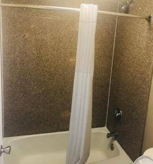 Room #23725954 at Days Inn by Wyndham Orlando Downtown