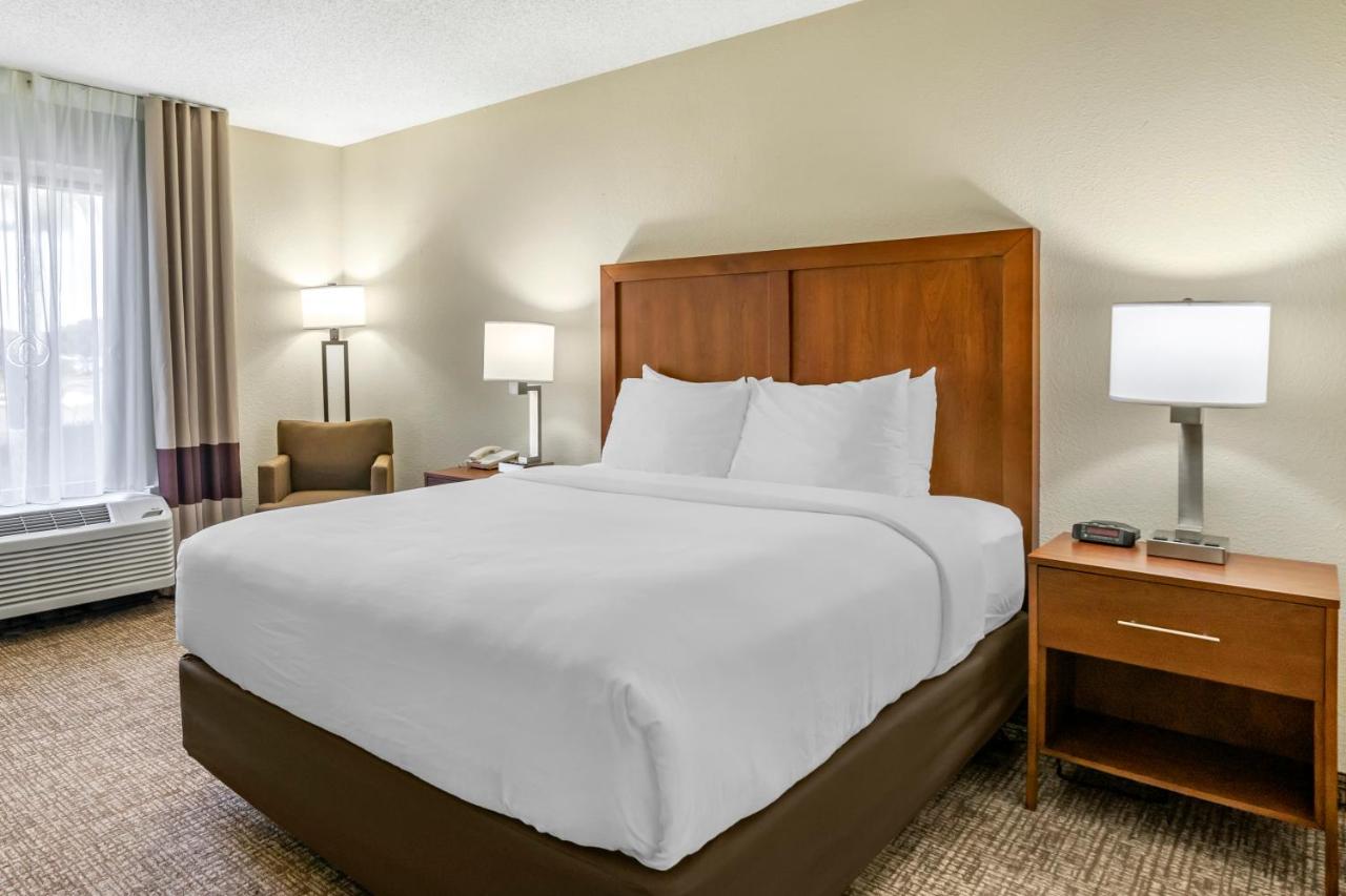 One-Bedroom King Suite with Sofa Bed - Non-Smoking at Comfort Inn & Suites St. Pete - Clearwater International Airport