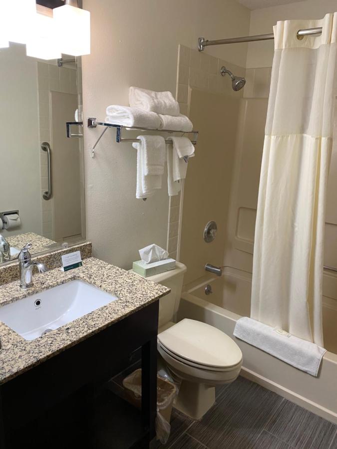 Queen Room - Accessible/Non-Smoking at Quality Inn Morton at I-74