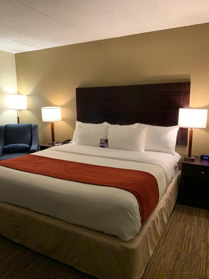 King Room - Accessible/Non-Smoking at Comfort Inn & Suites East Hartford - Hartford
