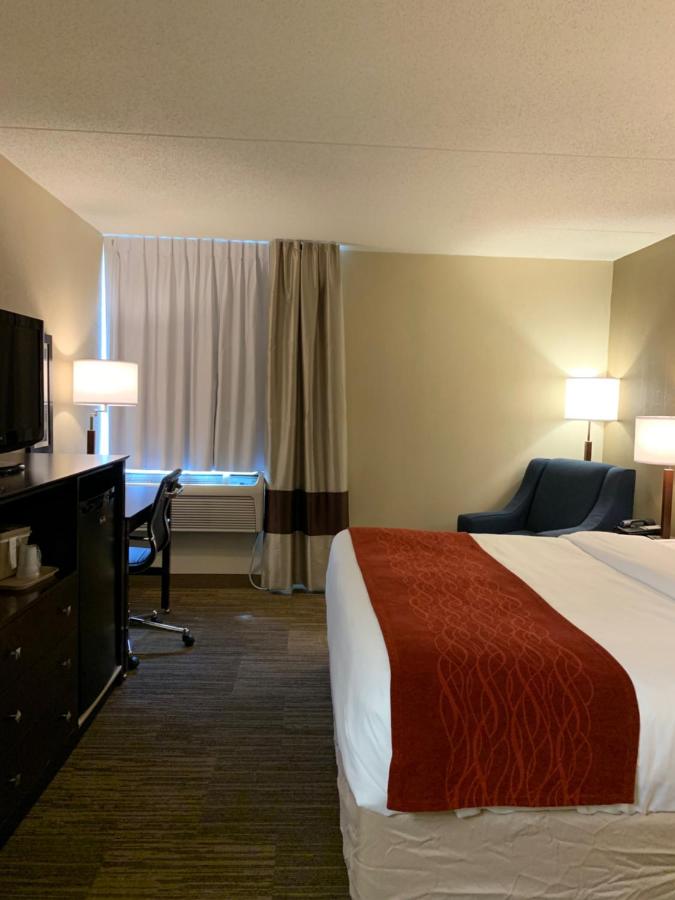 King Room - Accessible/Non-Smoking at Comfort Inn & Suites East Hartford - Hartford