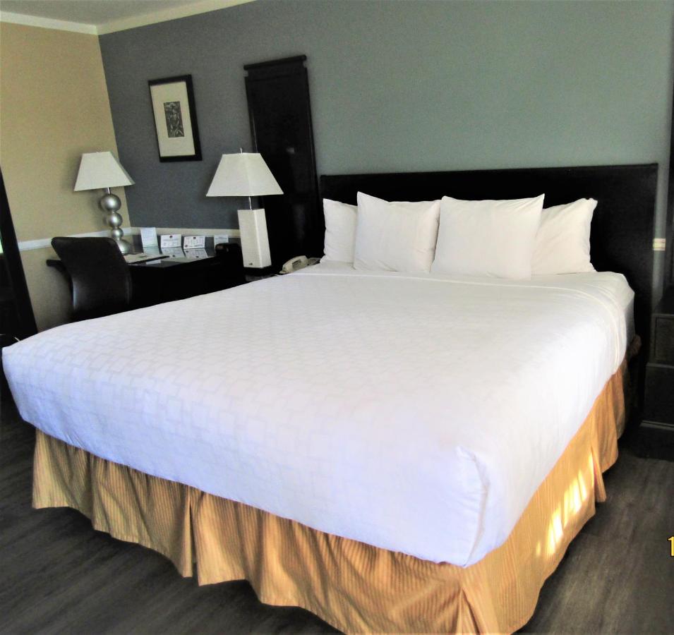 Standard King Room at Clarion Inn Near China Lake Naval Station