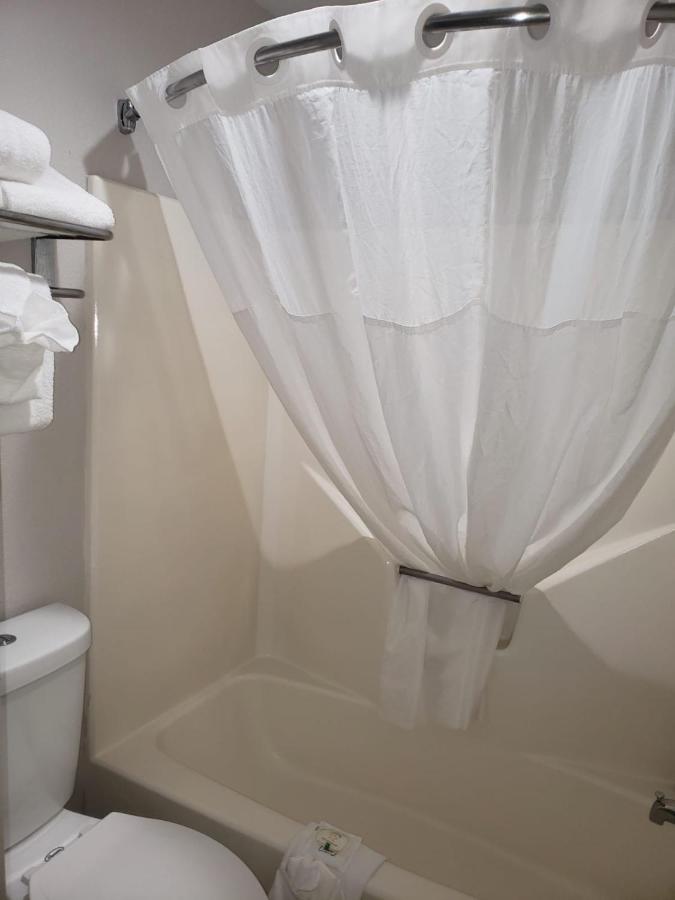 Queen Room - Accessible/Non-Smoking at Quality Inn Airport East