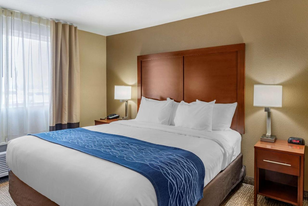 King Room - Accessible/Non-Smoking at Comfort Inn Roseburg