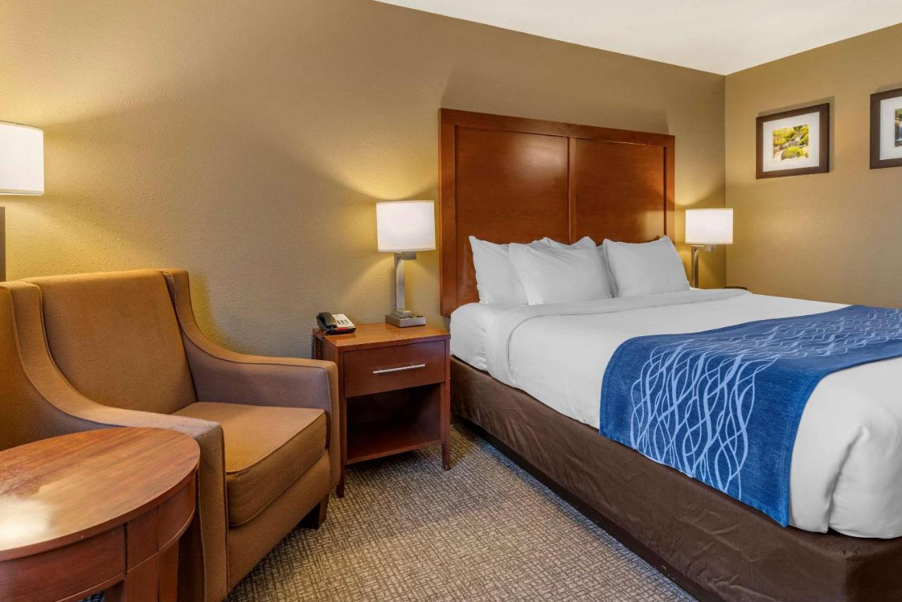 Standard King Room - Non-Smoking at Comfort Inn Roseburg