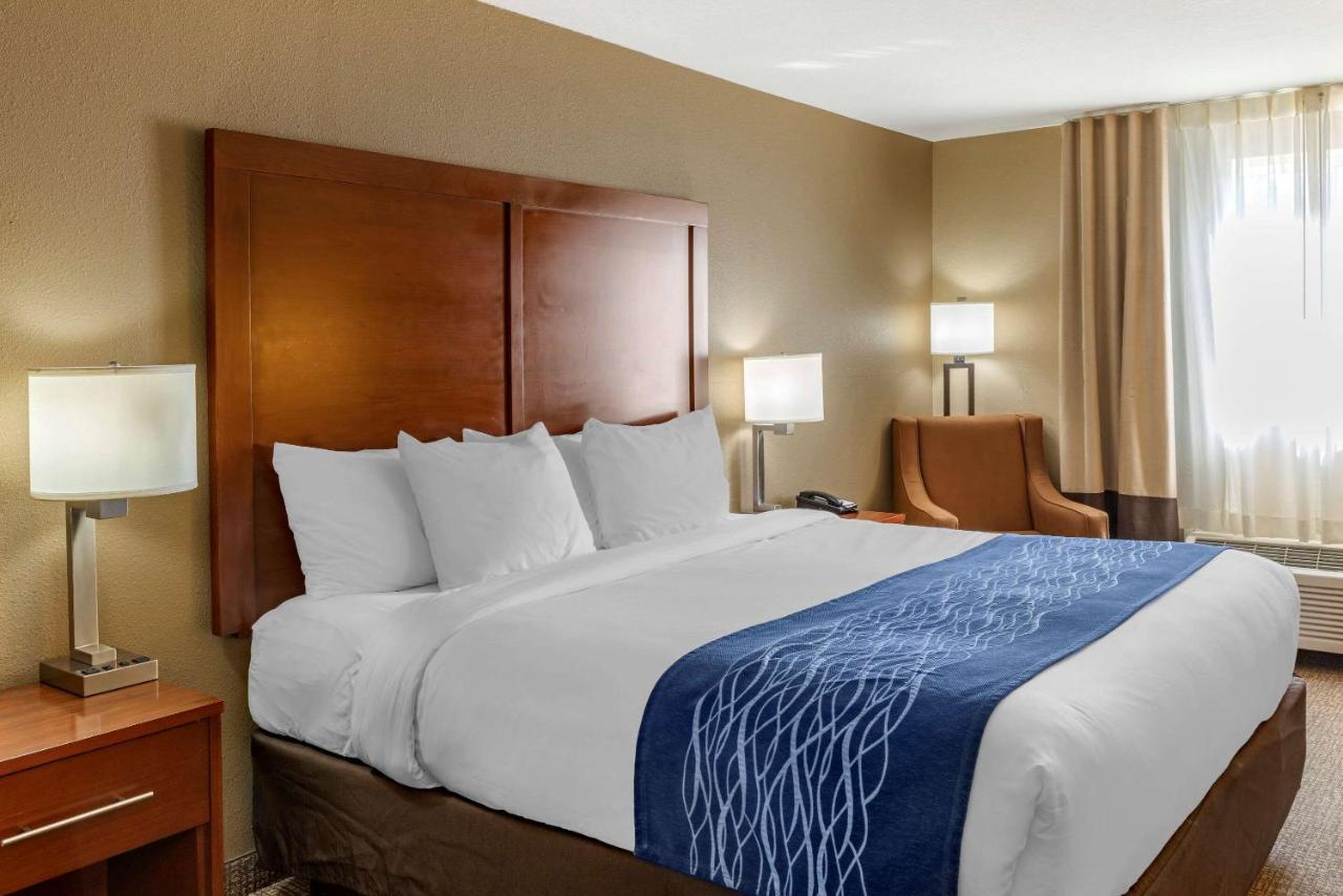 Superior King Room - Non-Smoking at Comfort Inn Roseburg