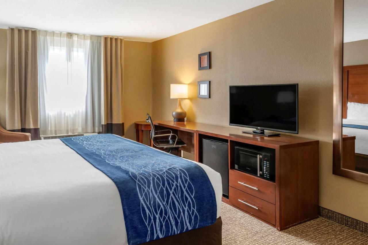 Superior King Room - Non-Smoking at Comfort Inn Roseburg