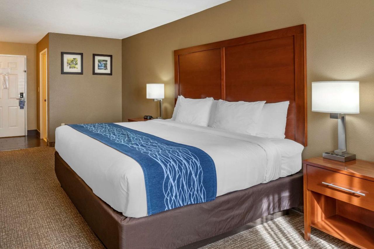 Superior King Room - Non-Smoking at Comfort Inn Roseburg