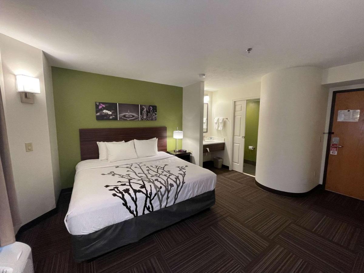 King Room - Non-Smoking at Sleep Inn Antigo