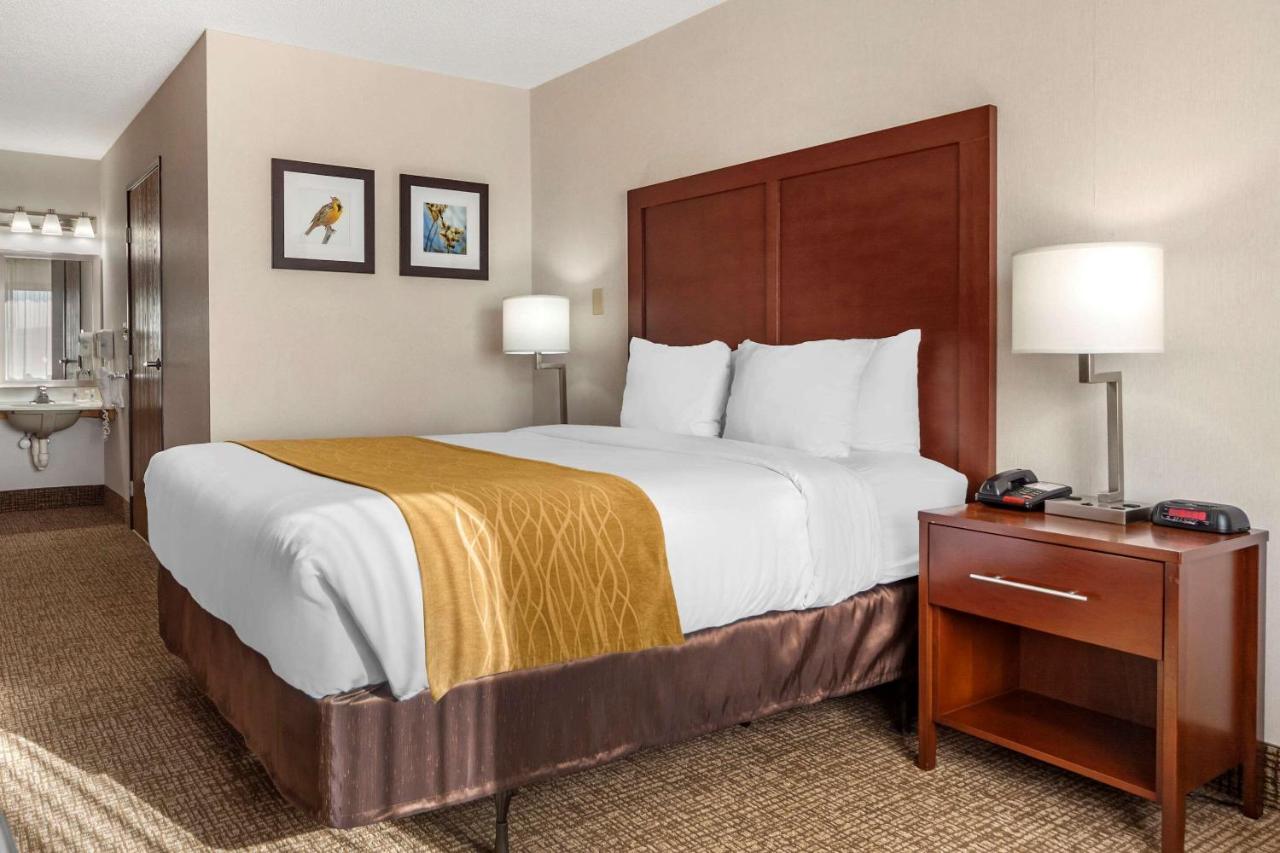 Queen Room - Disability Access/Non-Smoking at Comfort Inn Grand Island North