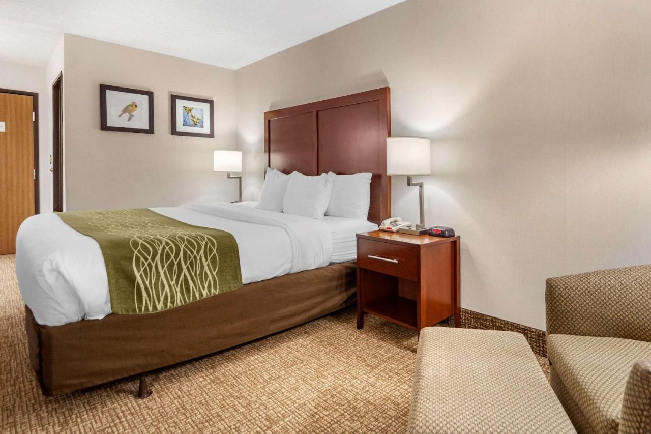 King Room - Non-Smoking at Comfort Inn Grand Island North