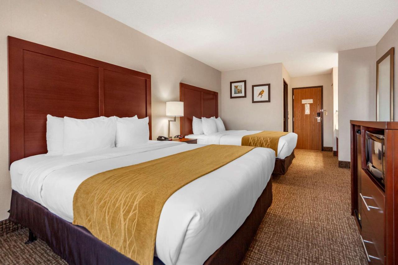 Deluxe Queen Room with Two Queen Beds - Non-Smoking at Comfort Inn Grand Island North