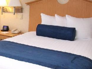 Room #18158259 at Marco LaGuardia Hotel