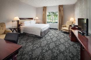 Room #29731036 at Anaheim Majestic Garden Hotel