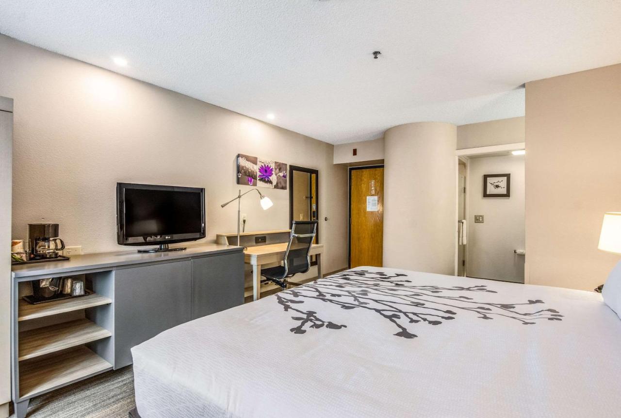 King Room at Sleep Inn Fort Mill near Carowinds Blvd