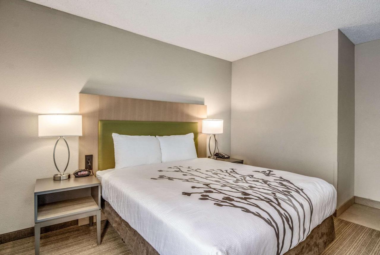 Queen Room - Accessible at Sleep Inn Fort Mill near Carowinds Blvd