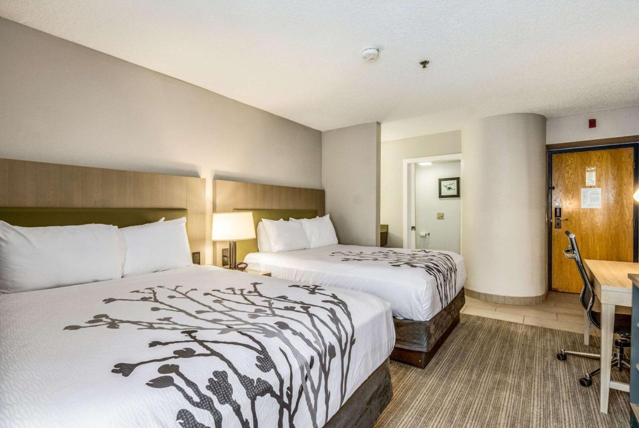 Queen Room with Two Queen Beds at Sleep Inn Fort Mill near Carowinds Blvd
