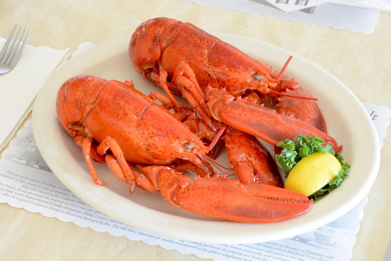 | Lamie's Inn & The Old Salt Tavern