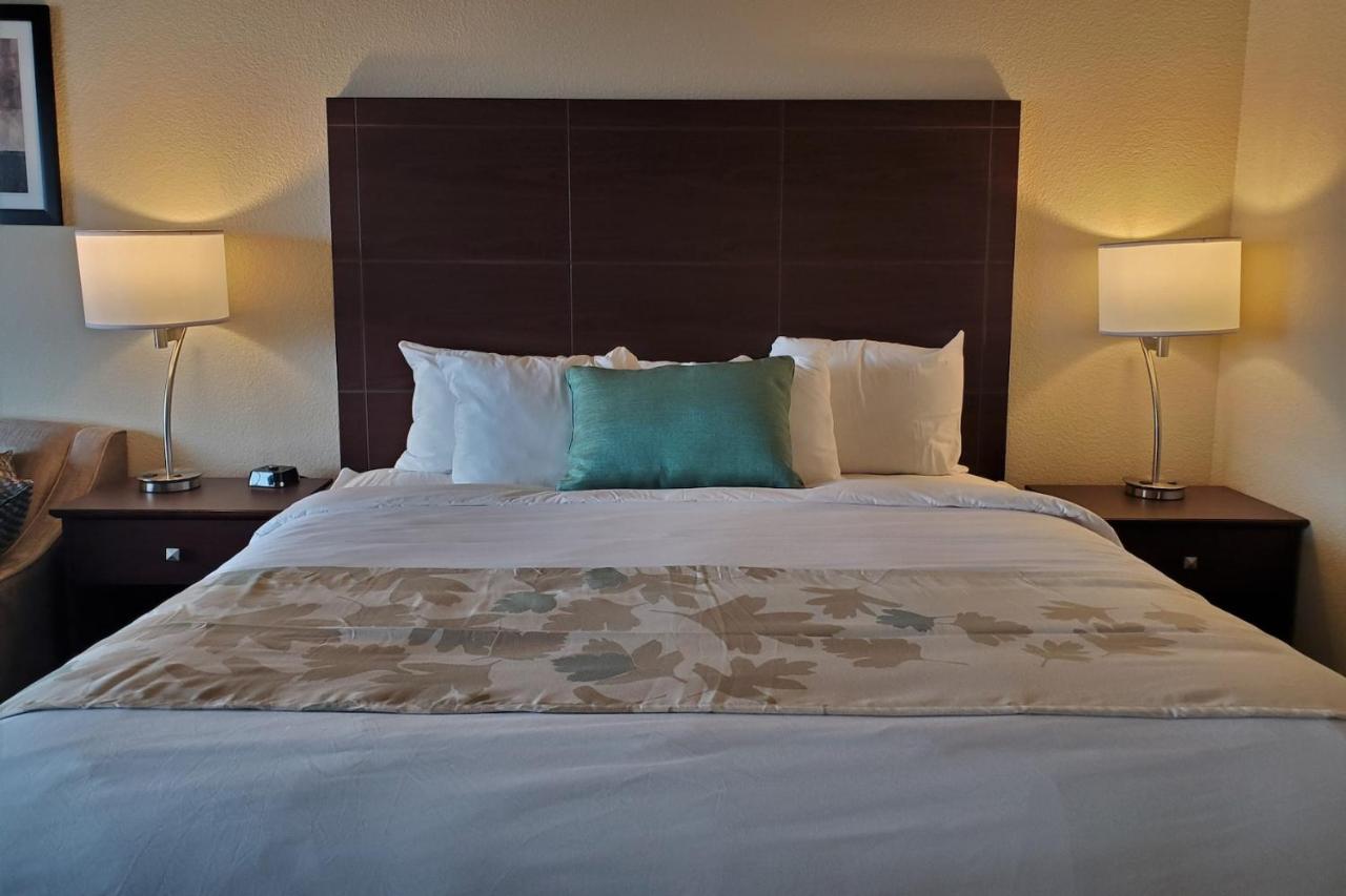 Deluxe King Studio at Cobblestone Suites Oshkosh
